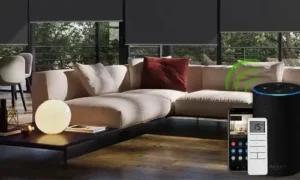 ستائر العريشة الخارجية